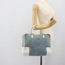 LOEWE Amazona 30 Hand Bag Suede Light Blue Silver Auth 193126V-23