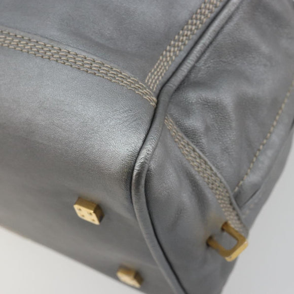 LOEWE Amazona 28 Hand Bag Leather Silver Gold Auth 193132V