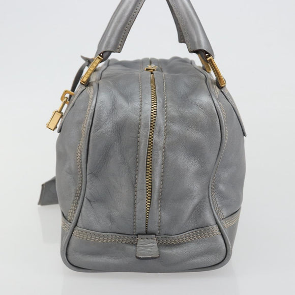 LOEWE Amazona 28 Hand Bag Leather Silver Gold Auth 193132V