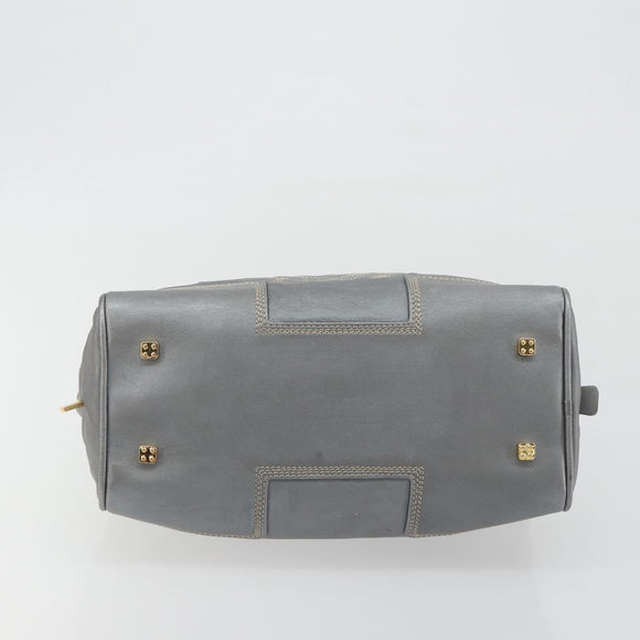 LOEWE Amazona 28 Hand Bag Leather Silver Gold Auth 193132V