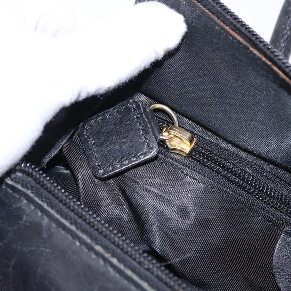 CELINE Circle Hand Bag Nylon Black Gold Auth 193380