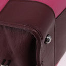 LOEWE Amazona 35 Hand Bag Leather Pink Silver Auth 193499V-9