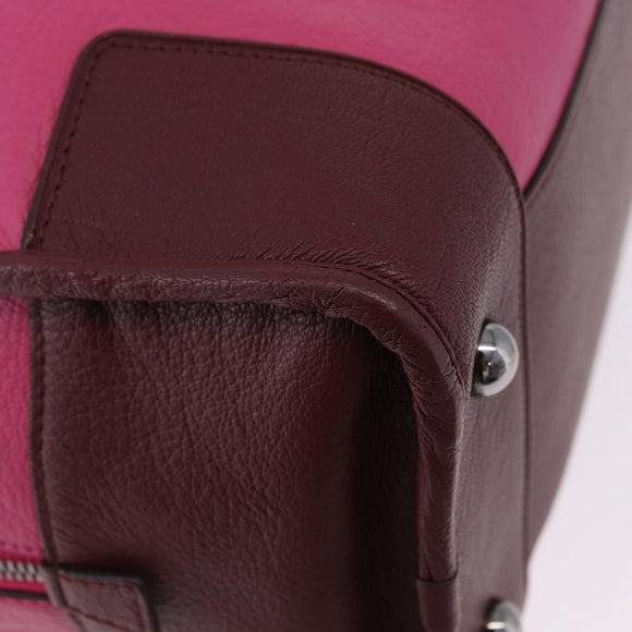 LOEWE Amazona 35 Hand Bag Leather Pink Silver Auth 193499V