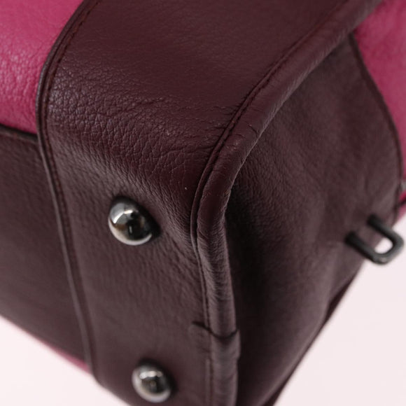 LOEWE Amazona 35 Hand Bag Leather Pink Silver Auth 193499V
