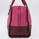 LOEWE Amazona 35 Hand Bag Leather Pink Silver Auth 193499V-3