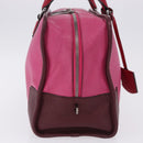 LOEWE Amazona 35 Hand Bag Leather Pink Silver Auth 193499V-4