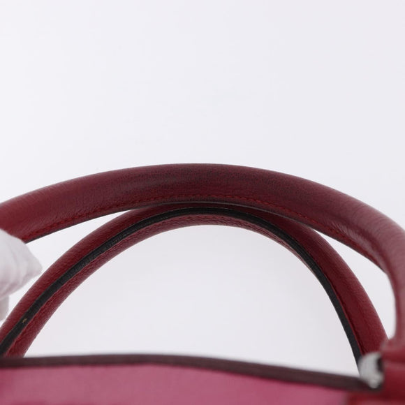 LOEWE Amazona 35 Hand Bag Leather Pink Silver Auth 193499V