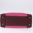 LOEWE Amazona 35 Hand Bag Leather Pink Silver Auth 193499V-5