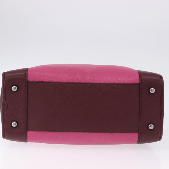 LOEWE Amazona 35 Hand Bag Leather Pink Silver Auth 193499V