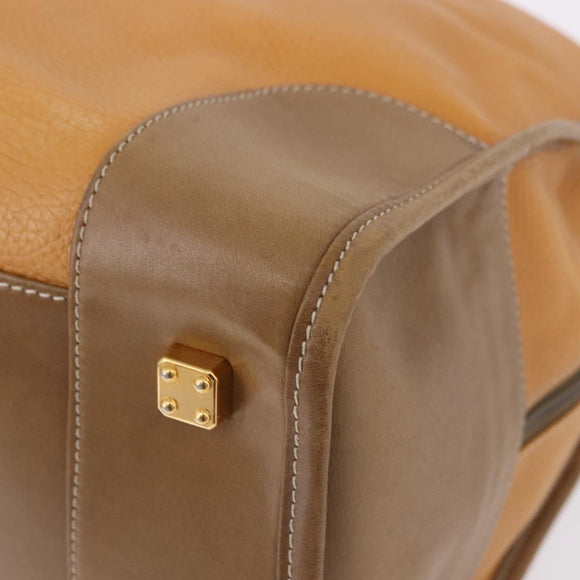 LOEWE Amazona 40 Hand Bag Leather Brown Gold Auth 193805A