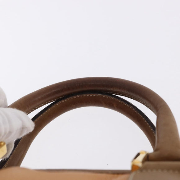 LOEWE Amazona 40 Hand Bag Leather Brown Gold Auth 193805A