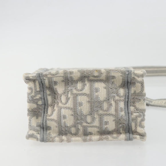 Christian Dior Trotter Canvas Book Tote Mini 2way Gray Gold Auth 193902