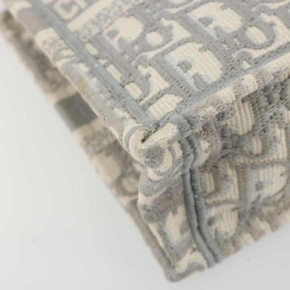 Christian Dior Trotter Canvas Book Tote Mini 2way Gray Gold Auth 193902