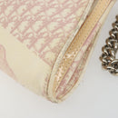 Christian Dior Saddle Chain Shoulder Bag Canvas Pink Silver Auth 194136-12