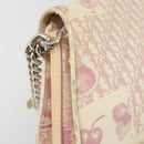 Christian Dior Saddle Chain Shoulder Bag Canvas Pink Silver Auth 194136-14
