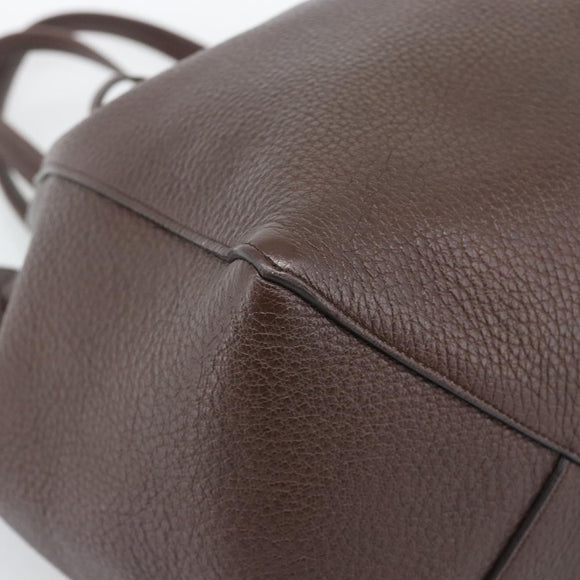 CELINE Cabas Phantom Tote Bag Leather Brown Gold Auth 194831A