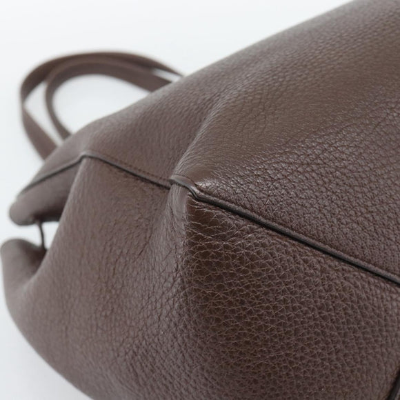 CELINE Cabas Phantom Tote Bag Leather Brown Gold Auth 194831A