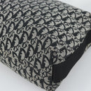 Christian Dior Trotter Canvas Shoulder Bag Gray Silver Auth 194858A-12