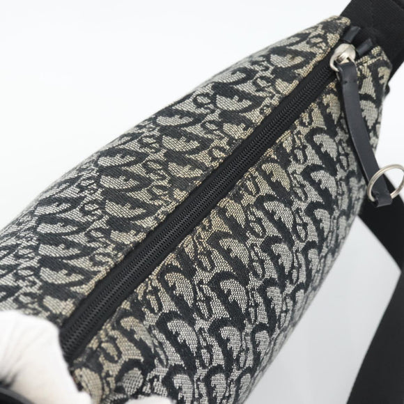 Christian Dior Trotter Canvas Shoulder Bag Gray Silver Auth 194858A