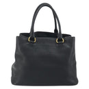 PRADA Hand Bag Vittero Dino Leather 2way Black Gold Auth 195226A-2