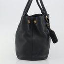 PRADA Hand Bag Vittero Dino Leather 2way Black Gold Auth 195226A-4