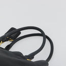 PRADA Hand Bag Vittero Dino Leather 2way Black Gold Auth 195226A-8