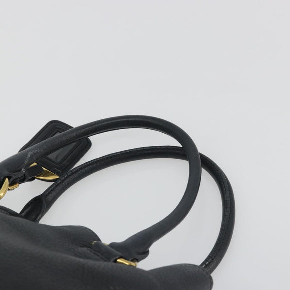 PRADA Hand Bag Vittero Dino Leather 2way Black Gold Auth 195226A
