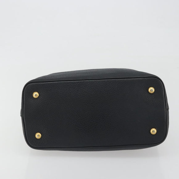 PRADA Hand Bag Vittero Dino Leather 2way Black Gold Auth 195226A