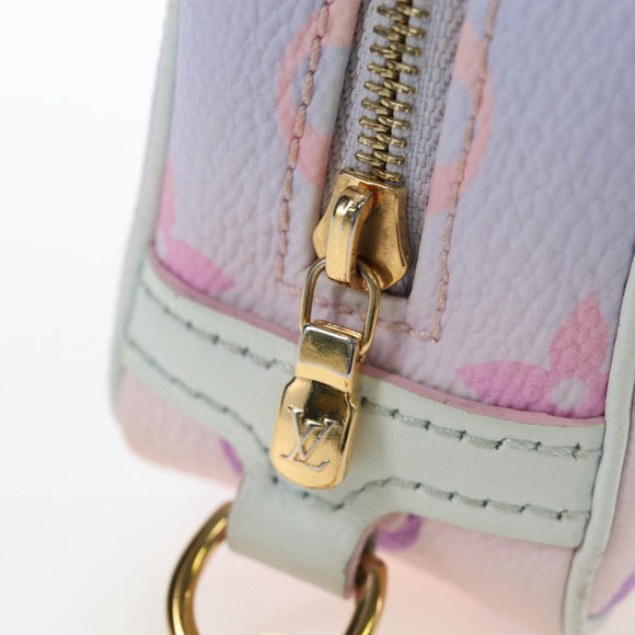 LOUIS VUITTON Monogram Giant Trousse Wapity Spring In The City Auth 195309M