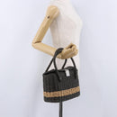 CHANEL Hand Bag Straw Gray Silver CC Auth 195504SM-25
