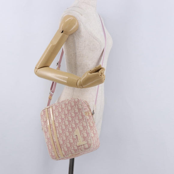 Christian Dior Trotter Canvas Shoulder Bag PVC Pink Silver Auth 195709