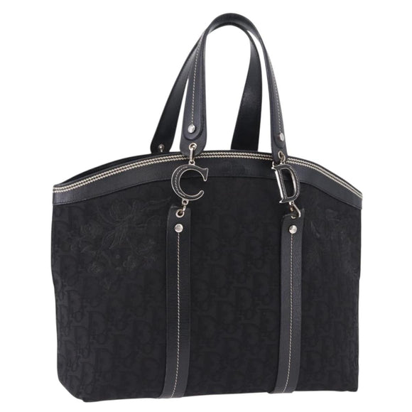 Christian Dior Trotter Canvas Hand Bag Black Silver Auth 195785V