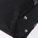 Christian Dior Trotter Canvas Hand Bag Black Silver Auth 195785V-15