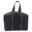 Christian Dior Trotter Canvas Hand Bag Black Silver Auth 195785V-13