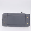 LOEWE Amazona 28 Hand Bag Leather Gray Gold Auth 195962M-5