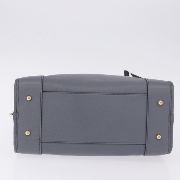 LOEWE Amazona 28 Hand Bag Leather Gray Gold Auth 195962M