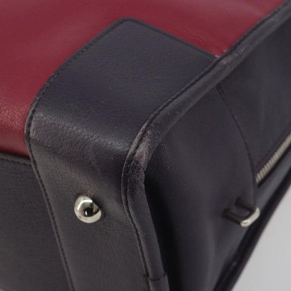 LOEWE Amazona 36 Hand Bag Leather Purple Silver Auth 195986A
