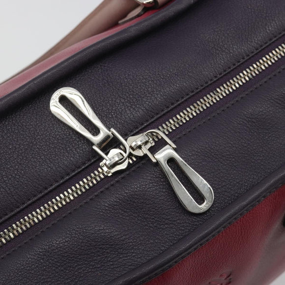LOEWE Amazona 36 Hand Bag Leather Purple Silver Auth 195986A