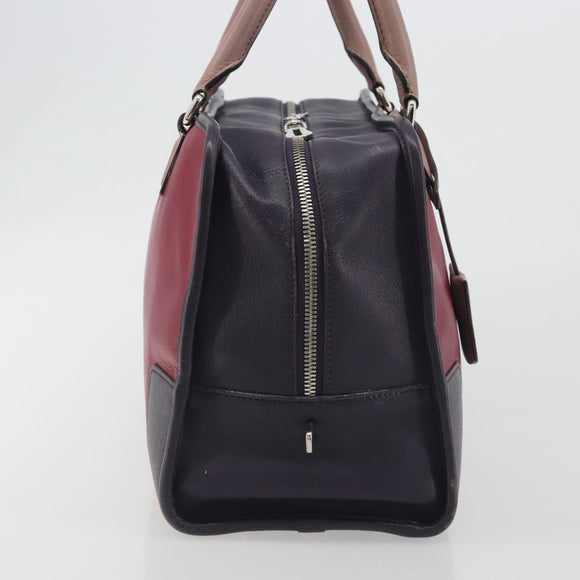 LOEWE Amazona 36 Hand Bag Leather Purple Silver Auth 195986A