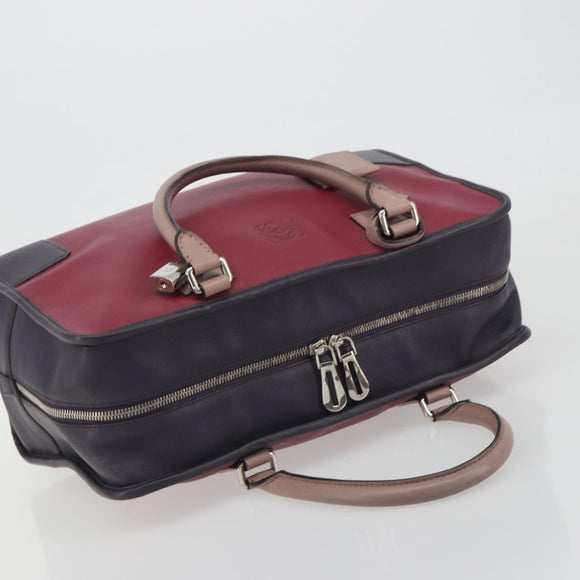 LOEWE Amazona 36 Hand Bag Leather Purple Silver Auth 195986A