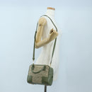 LOEWE Amazona 19 Hand Bag Canvas 2way Beige Gold Auth 196053SAM-28