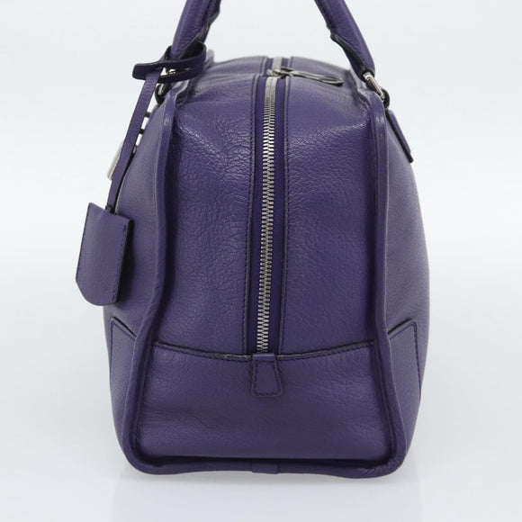 LOEWE Amazona 36 Hand Bag Leather Purple Silver Auth 196090
