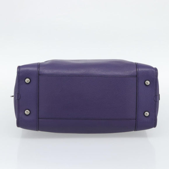 LOEWE Amazona 36 Hand Bag Leather Purple Silver Auth 196090