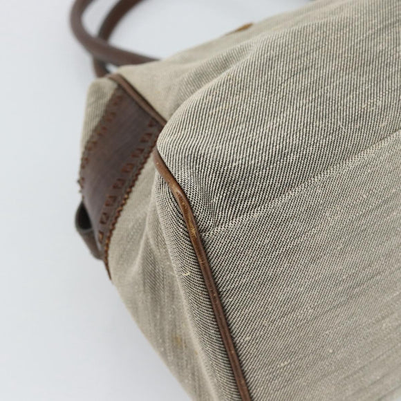 FENDI Hand Bag Canvas Gray Brown 8BN162 Auth 196102