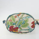 LOEWE Shoulder Bag Canvas Gray Silver Auth 196295-5