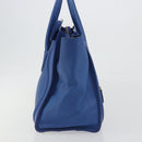 CELINE Luggage Mini Shopper Hand Bag Leather Blue Gold Tone Auth 196396A-4