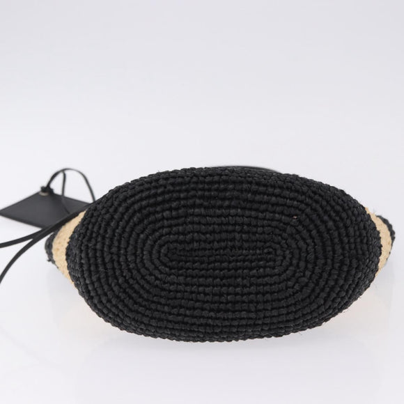 BALENCIAGA Pannier XS Hand Bag Raffia Black Silver 466498 Auth 196622A