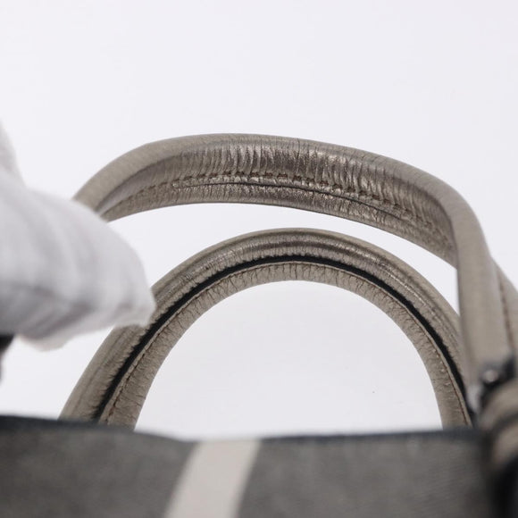 BURBERRY Nova Check Hand Bag Canvas Gray Auth 196772V