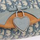 Christian Dior Trotter Canvas Romantic Chain Bag PVC Blue Silver Auth 197045SAM-14