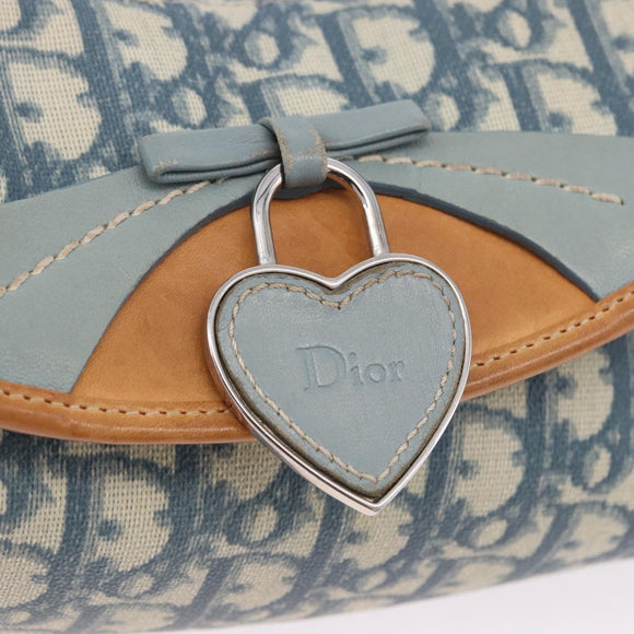 Christian Dior Trotter Canvas Romantic Chain Bag PVC Blue Silver Auth 197045SAM